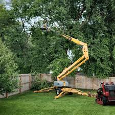 Reliable Muniz, TX  Tree Services Solutions